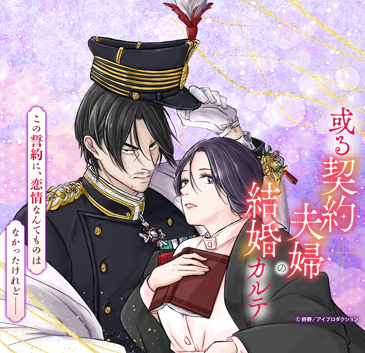 或る契約夫婦の結婚カルテ