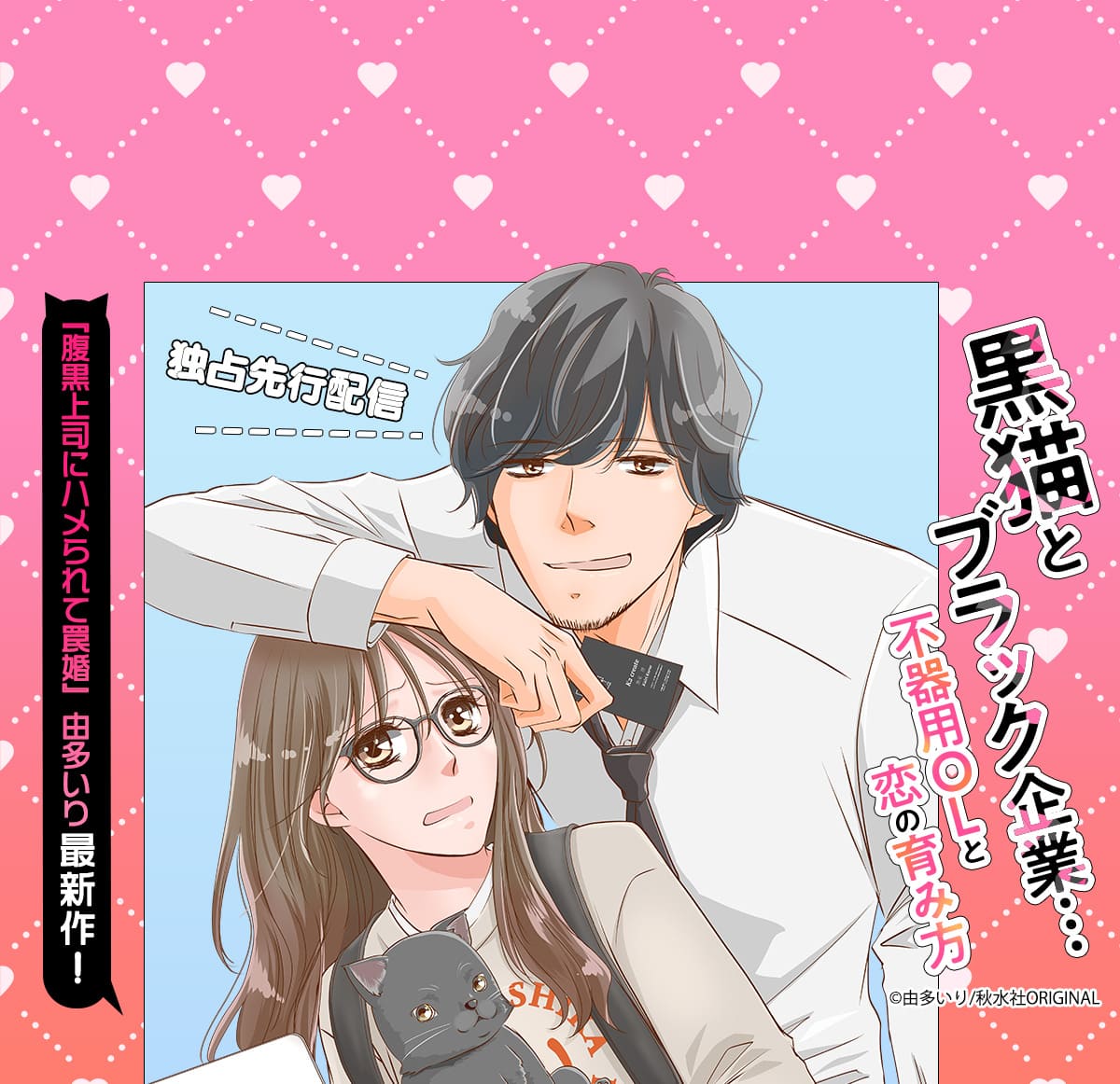 黒猫とブラック企業…不器用OLと恋の育み方