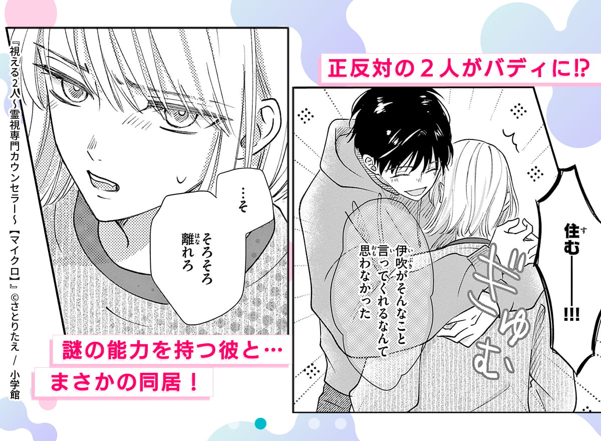 視える2人～霊視専門カウンセラー～【マイクロ】