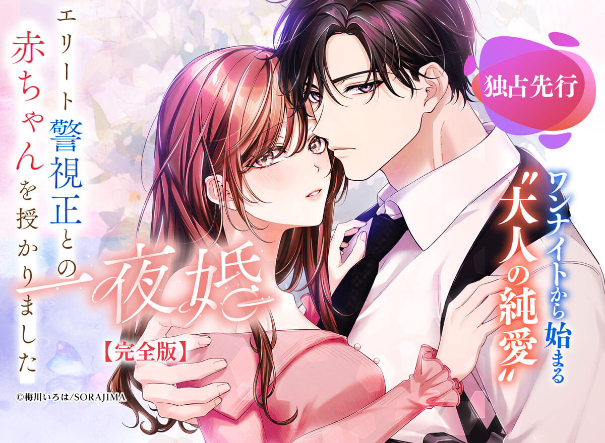 一夜婚～エリート警視正との赤ちゃんを授かりました～【完全版】
