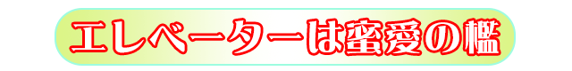 エレベーターは蜜愛の檻