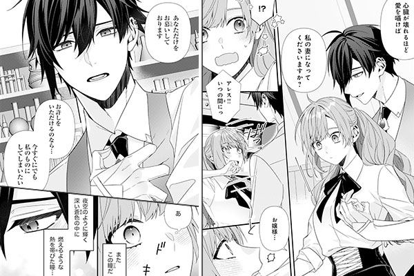 「捨てられた妃 めでたく離縁が成立したので出ていったら、竜国の王太子からの溺愛が待っていました」シーン抜粋