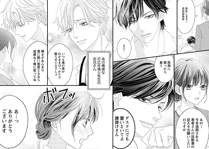 紳士な兄と俺様な弟のシーン抜粋