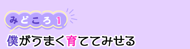 作品の見どころ1
