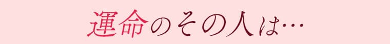 作品の見どころ2