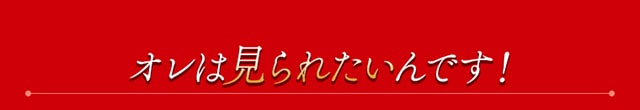 作品の見どころ2