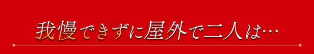 作品の見どころ4