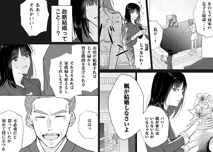 姉の身代わりに結婚をのシーン抜粋