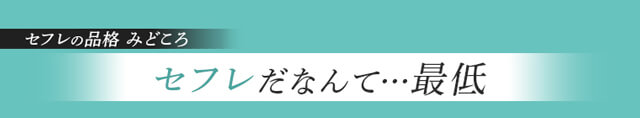 作品の見どころ1