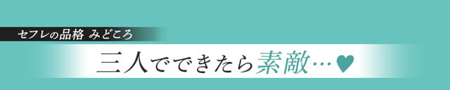 作品の見どころ2