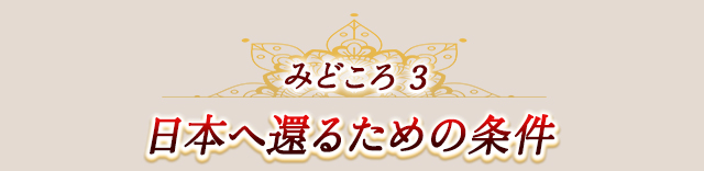 作品の見どころ3