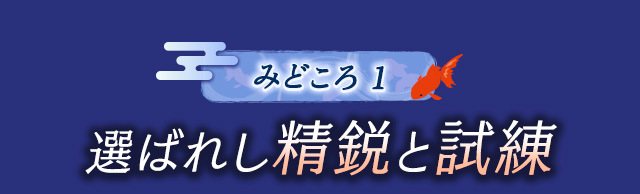 作品の見どころ1