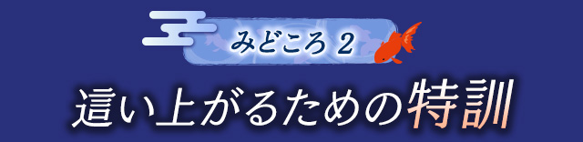 作品の見どころ2