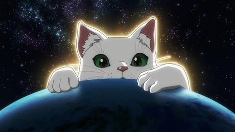 「ニャイト・オブ・ザ・リビングキャット」の第5話「キャットマックス」の一場面（C）ホークマン・メカルーツ／マッグガーデン／ニャイリビ製作委員会