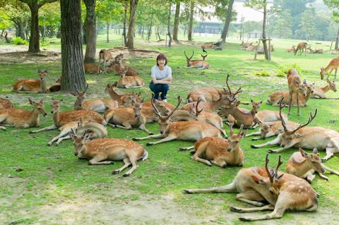 アーティスト活動を収録することを発表した久保ユリカさん