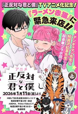 「正反対な君と僕」と「ラーメン赤猫」のコラボマンガ（c）阿賀沢紅茶／集英社