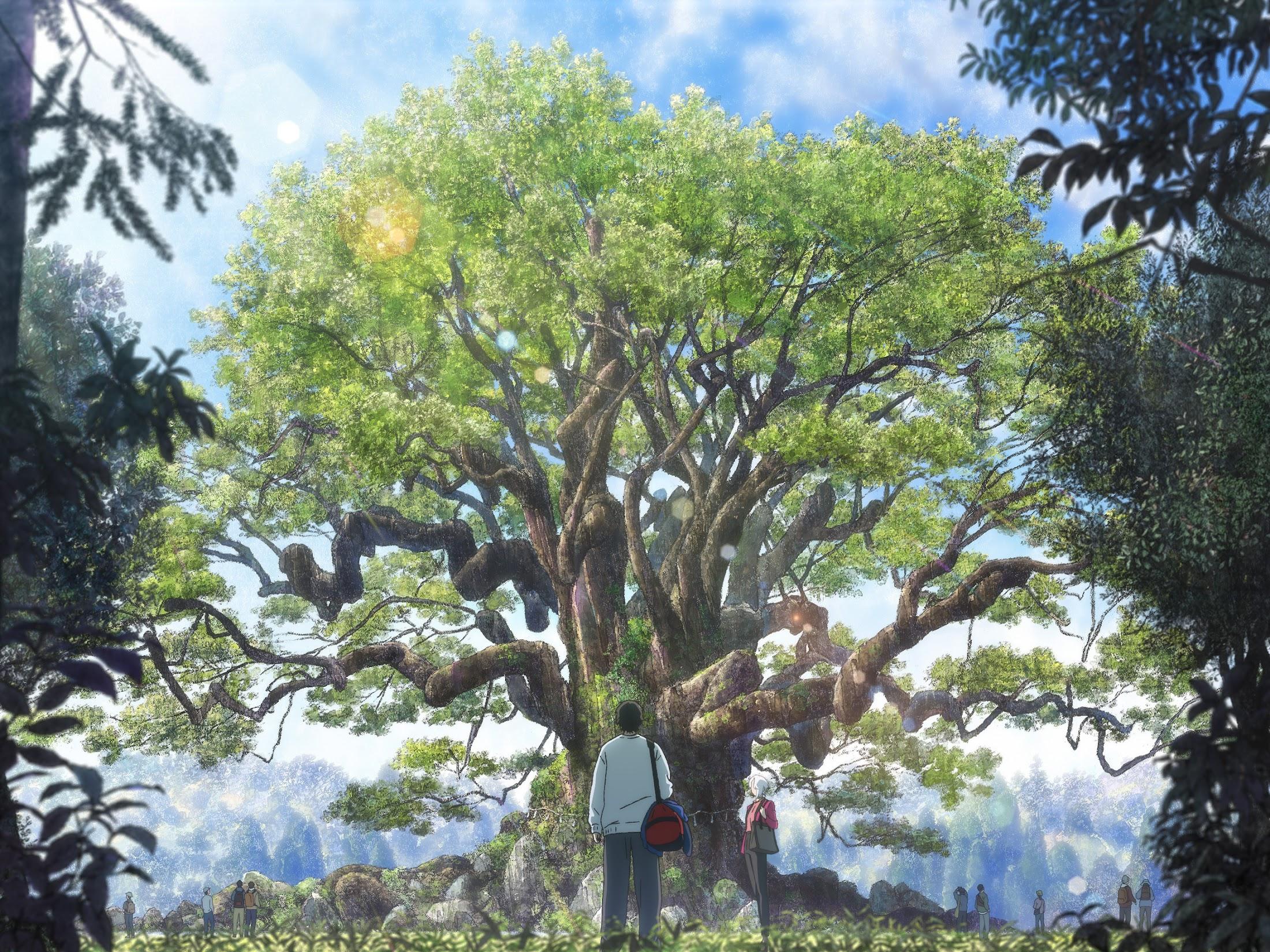 アニメ「クスノキの番人」の一場面（c）東野圭吾／アニメ「クスノキの番人」製作委員会