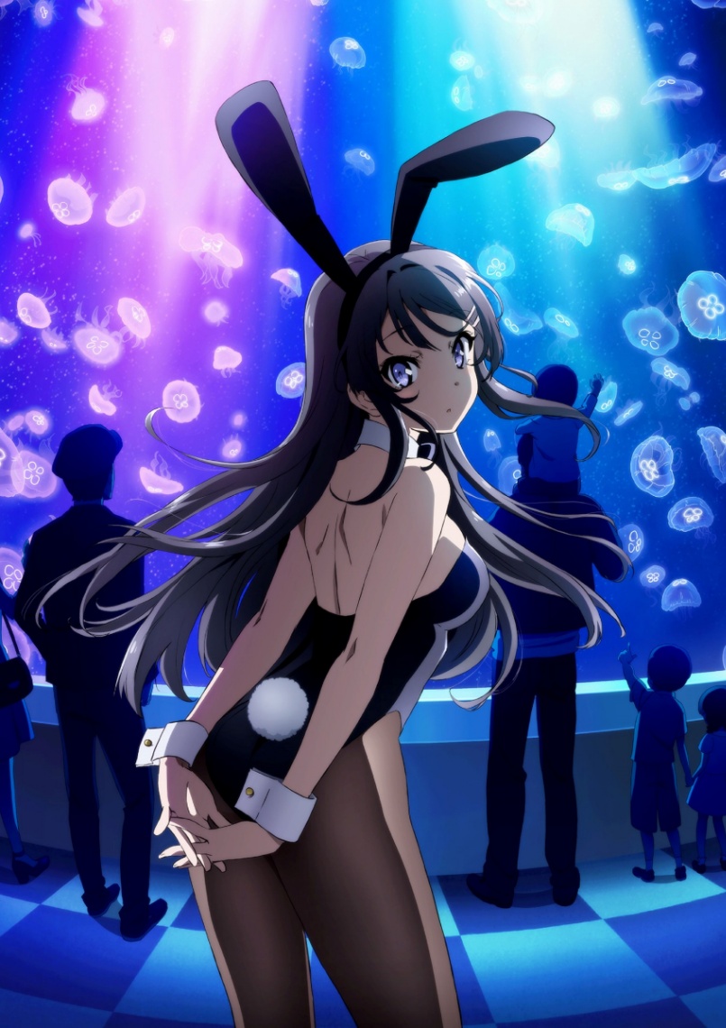 アニメ「青春ブタ野郎はバニーガール先輩の夢を見ない」のビジュアル（C）2025 鴨志田 一／KADOKAWA／青ブタ Project