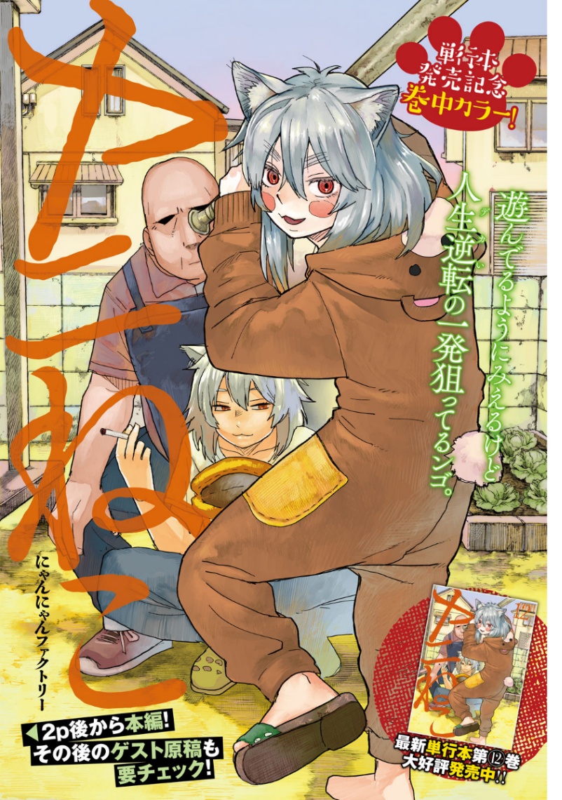 「ヤングマガジン」第27号に掲載される「ヤニねこ」