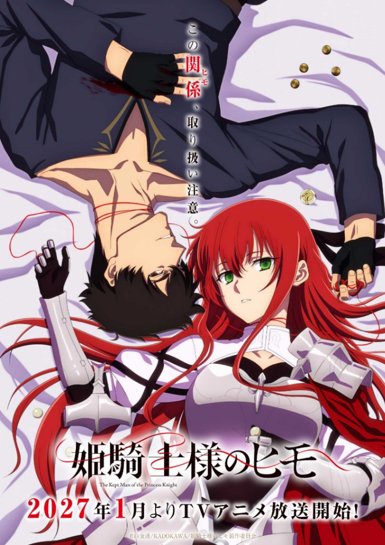 アニメ「姫騎士様のヒモ」のティザービジュアル（C）白金透／KADOKAWA／姫騎士様のヒモ製作委員会