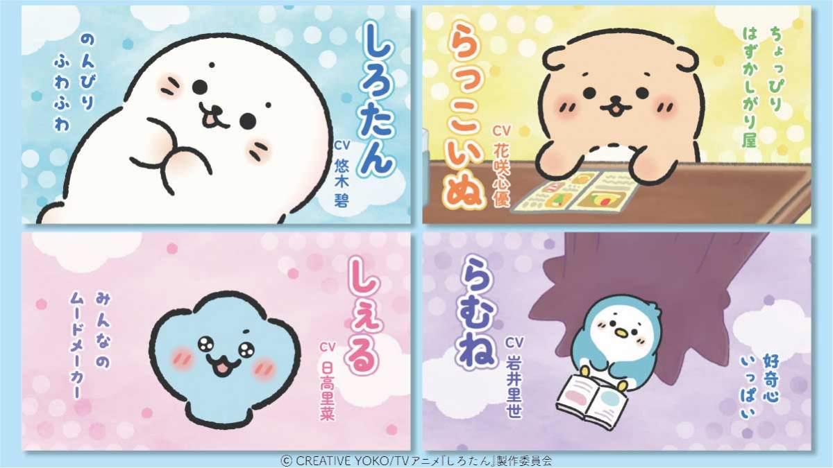 アニメ「しろたん」の本PVの一場面（C）CREATIVE YOKO／TVアニメ『しろたん』製作委員会