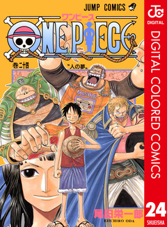 ONE PIECE カラー版 24巻