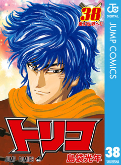 トリコ モノクロ版 38巻