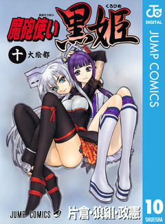 魔砲使い黒姫 10巻