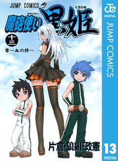 魔砲使い黒姫 13巻