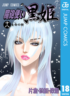 魔砲使い黒姫 18巻