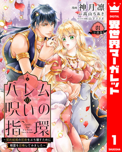 ハレムの呪いの指環～契約結婚の初夜をぶち壊すために精霊を召喚してみました～ 1巻