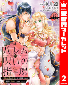 ハレムの呪いの指環～契約結婚の初夜をぶち壊すために精霊を召喚してみました～ 2巻