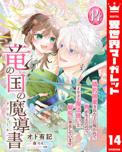 竜の国の魔導書 ~婚約破棄された上に呪われて角が生えたので、イケメン魔法使いと解呪に奔走しています~ 14巻