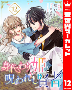 身代わり姫と呪われし賢者 12巻