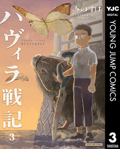 ハヴィラ戦記 3巻