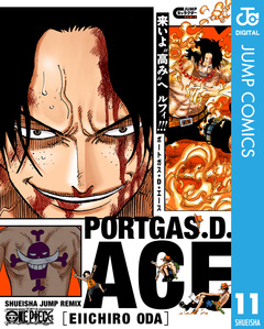 ONE PIECE キャラクターリミックス 11巻