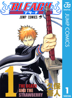 BLEACH モノクロ版 1巻