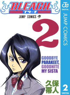BLEACH モノクロ版 2巻