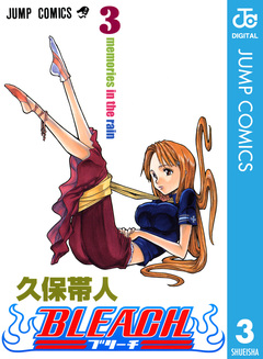 BLEACH モノクロ版 3巻