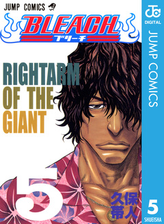 BLEACH モノクロ版 5巻