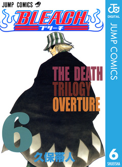 BLEACH モノクロ版 6巻