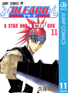 BLEACH モノクロ版 11巻