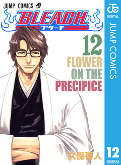 BLEACH モノクロ版 12巻