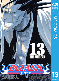 BLEACH モノクロ版 13巻