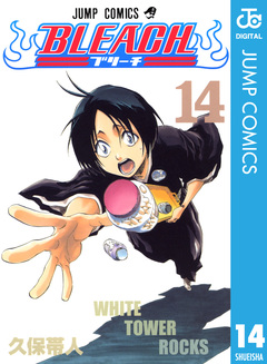 BLEACH モノクロ版 14巻