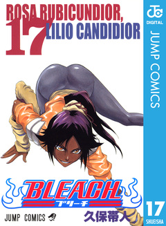 BLEACH モノクロ版 17巻