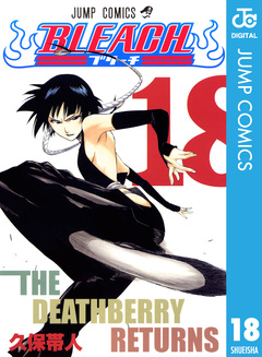 BLEACH モノクロ版 18巻