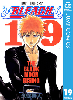 BLEACH モノクロ版 19巻