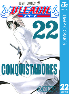 BLEACH モノクロ版 22巻