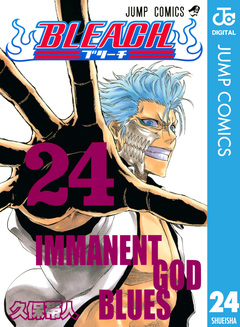 BLEACH モノクロ版 24巻